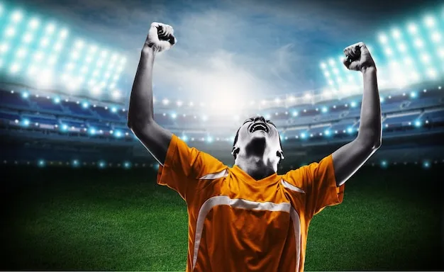 数据与赛程展示